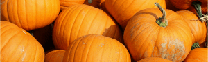 5 Surprising Ways to Use Pumpkins Wards Supermarket Gainesville FL