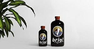 brio cold brew coffee gainesville local