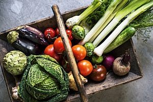 assortment of vegetables in a wooden basket