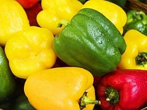 close up of red, green, and yellow bell peppers
