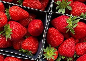 packages of strawberries