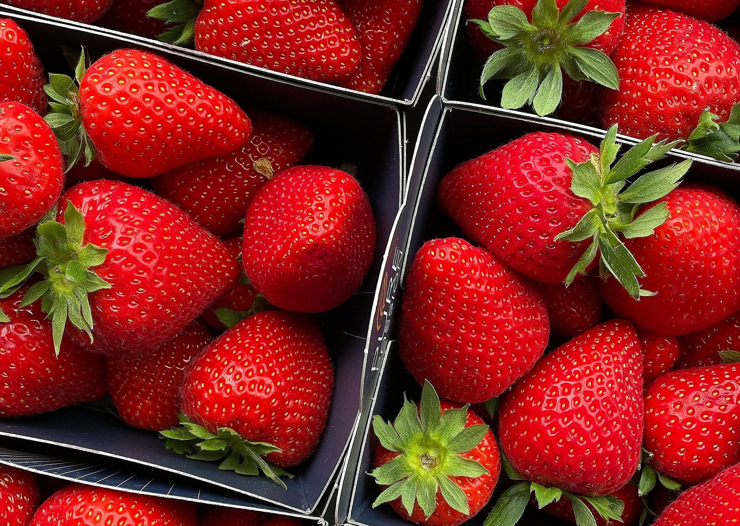 packages of strawberries