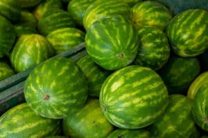 A group of watermelons